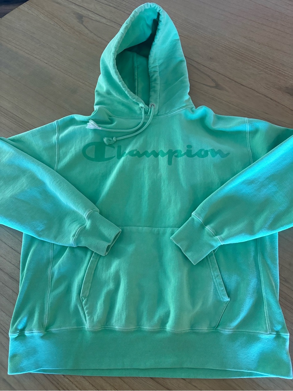 Champion Men’s Mint Green Hoodie Sweatshirt XL